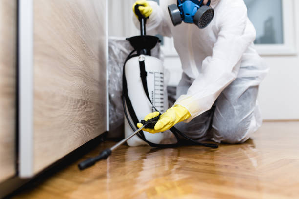 Best Local Pest Control Services  in Northeast Ithaca, NY
