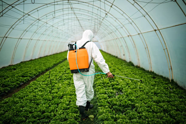 Best Pest Prevention Services  in Northeast Ithaca, NY
