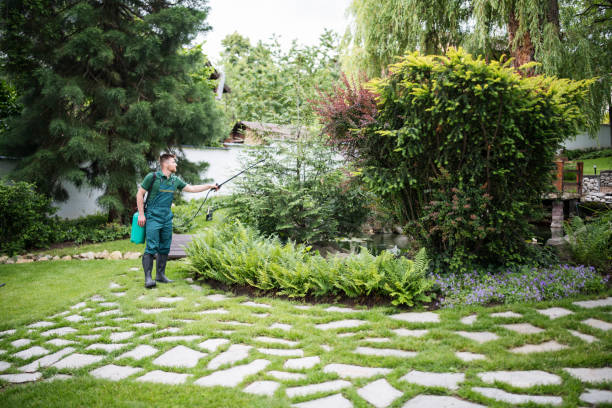 Best Pest Removal Services  in Northeast Ithaca, NY