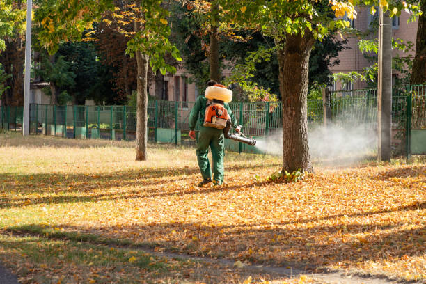 Best Rodent Control Near Me  in Northeast Ithaca, NY