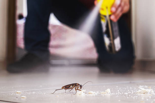 Best Best Pest Control Companies  in Northeast Ithaca, NY