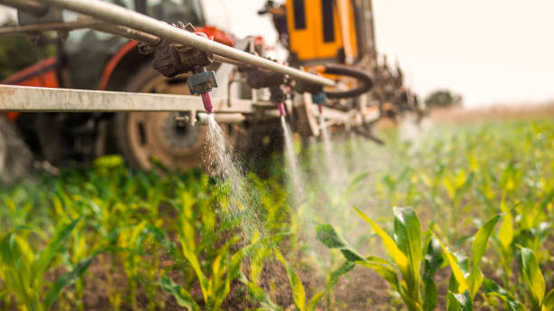 Best Mosquito Control Services  in Northeast Ithaca, NY